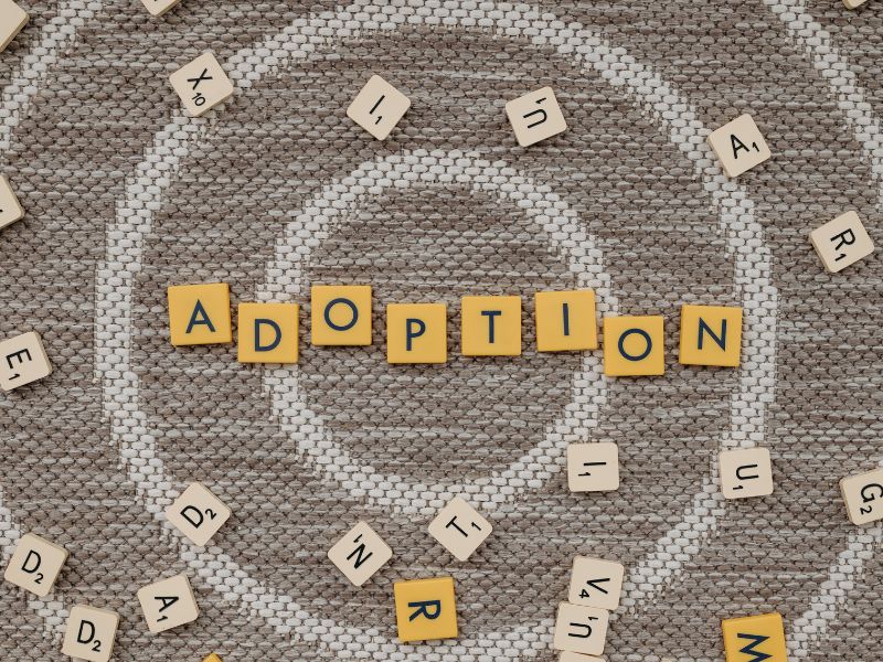 adoption lawyer abstract